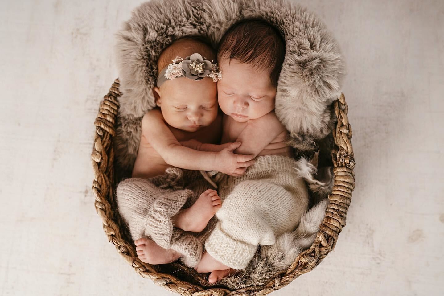 Newborn Photo Session