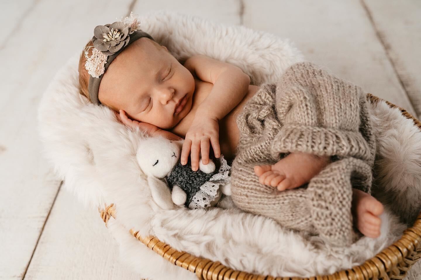 Newborn Photo Session